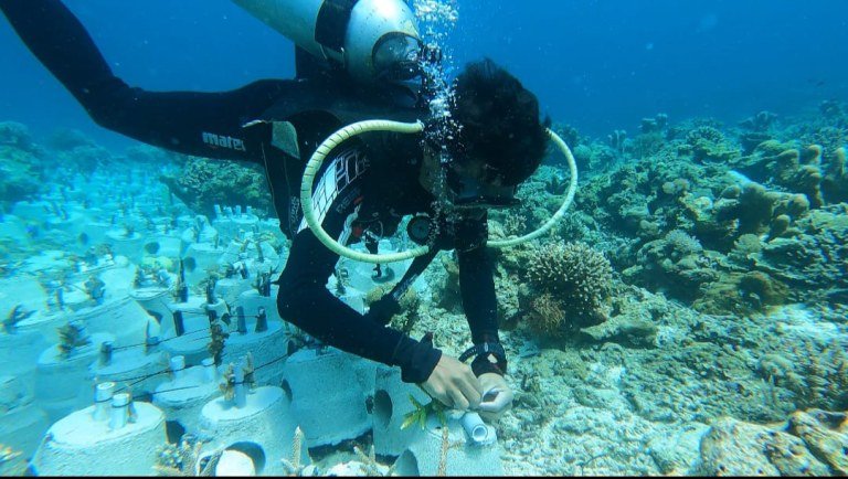 Semarak HUT ke-81 RI, Desa Mawambunga Gelar Aksi Pelestarian Laut dan Pesisir